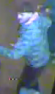 Photo :  Suspect 2